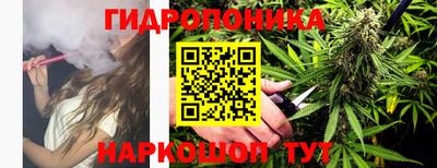 прущие грибы Мариинск