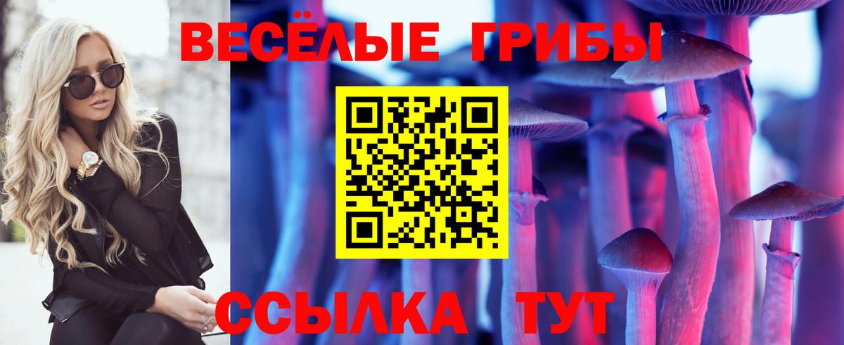 Псилоцибиновые грибы мухоморы Усть-Джегута