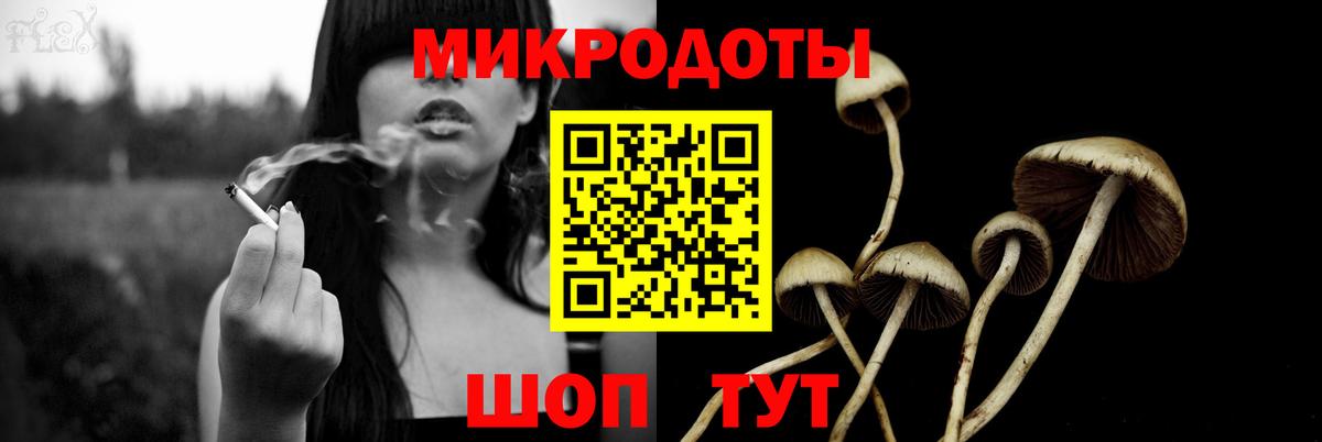Усть-Джегута  Галлюциногенные грибы Psilocybe  Вход с VPN  Галлюциногенные грибы Psilocybe 